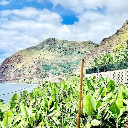 Paulo By Your Madeira *