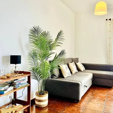 Апартаменты Paulo By Your Madeira